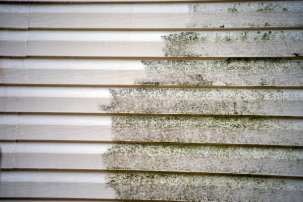 Affordable siding repair and maintenance services in La Verkin, UT