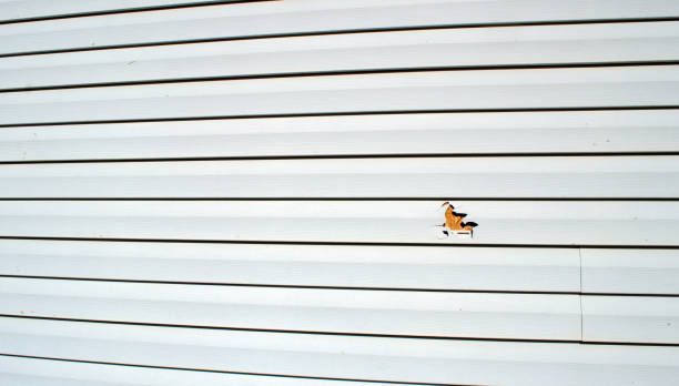 Best Residential Vinyl Siding Installation  in La Verkin, UT